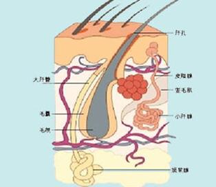 北京美容学校